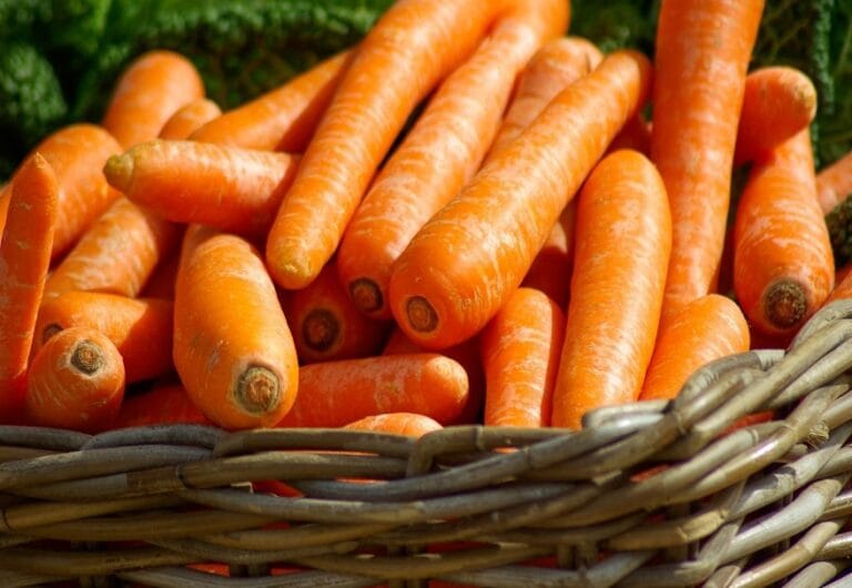 fresh carrots in basket