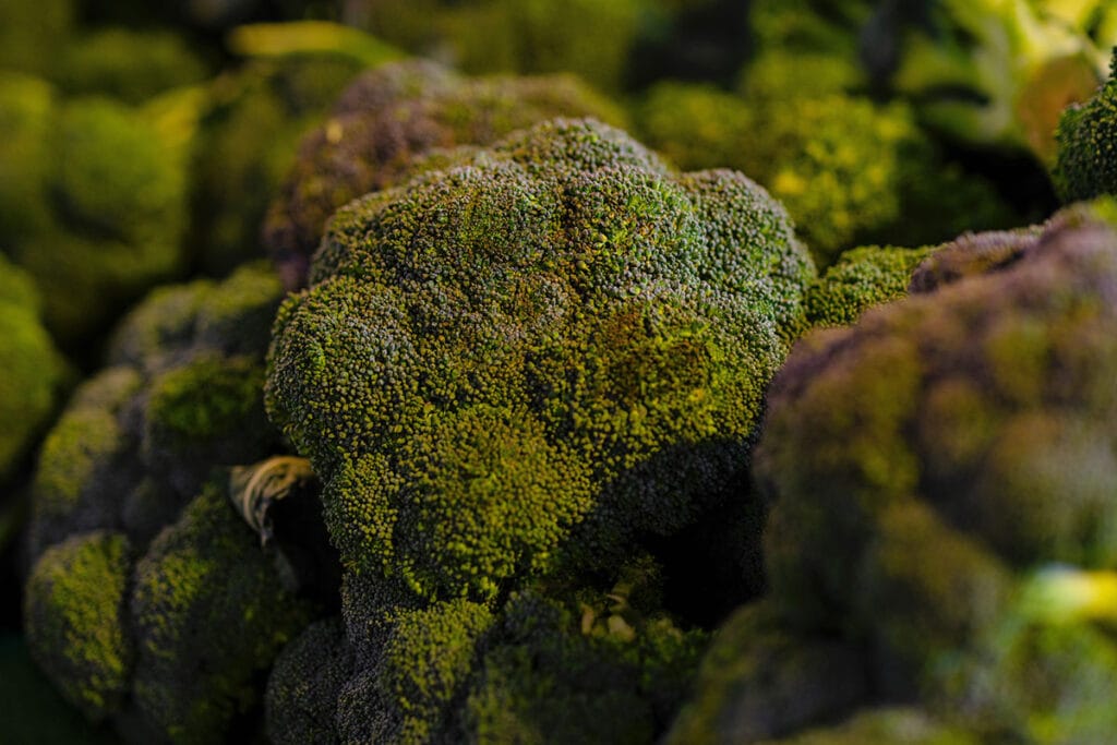 fresh broccoli at the market