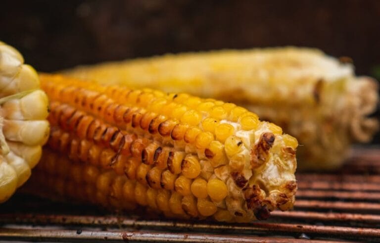 yellow corn on stainless steel tray