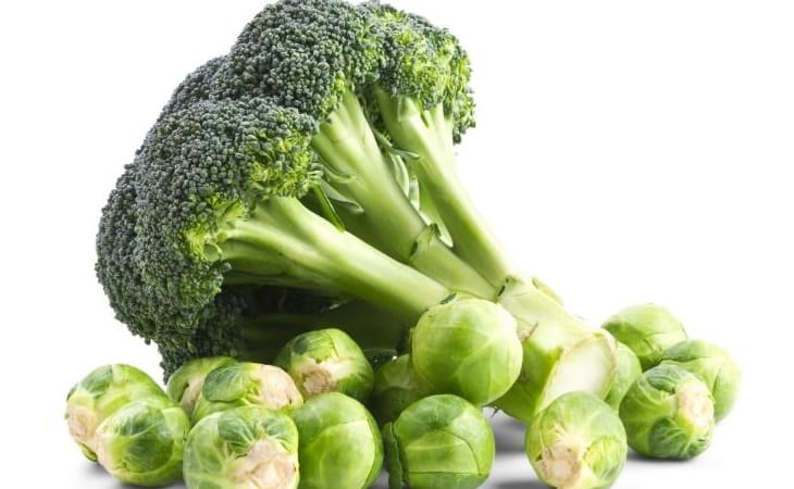 Fresh Brussels sprouts and broccoli on a white background
